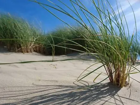 Abc Langestraat * Blankenberge